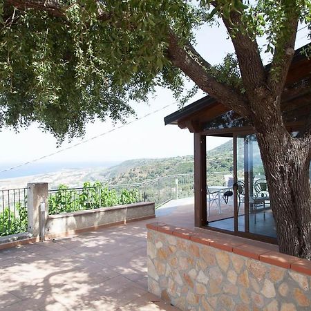 B&B Le Rose Del Tirreno Falerna Eksteriør billede